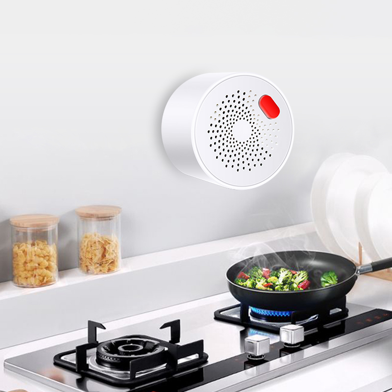 Tuya Smart Home Wifi Natural G – обзор и цена Home Security Device
