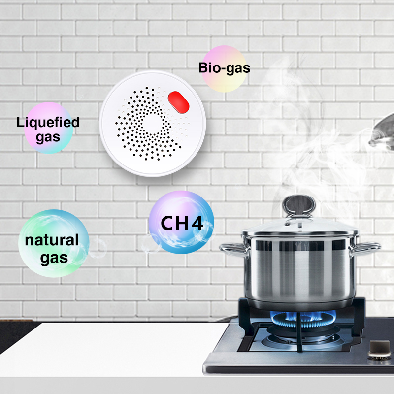Tuya Smart Home Wifi Natural G – обзор и цена Home Security Device