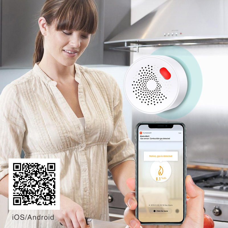 Tuya Smart Home Wifi Natural G – обзор и цена Home Security Device